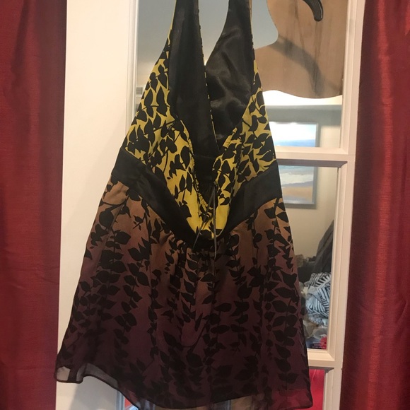 Express top - Picture 2 of 3